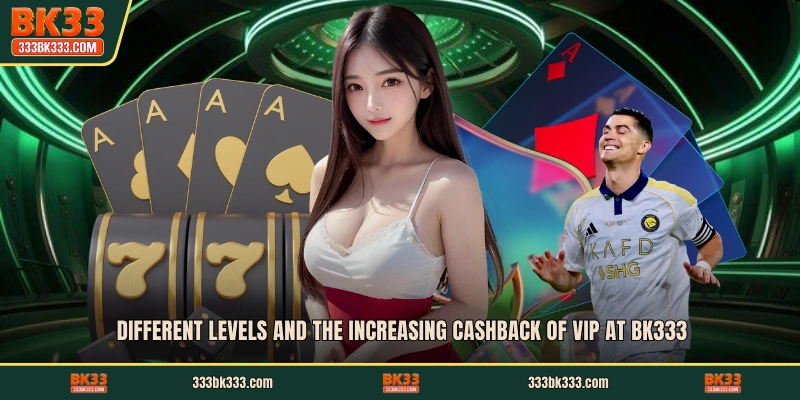 Different levels and the increasing cashback of VIP at BK333