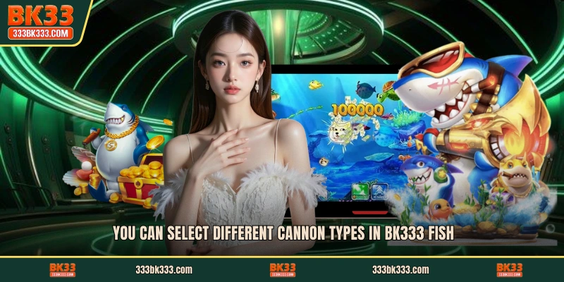You can select different cannon types in BK333 fish